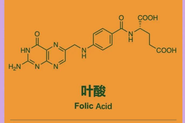 备孕期间吃叶酸有利于受孕