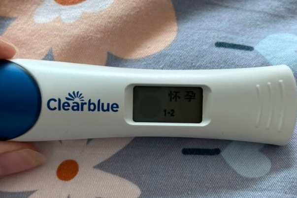 可丽蓝电子验孕棒怀孕会直接显示