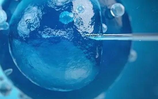 PGS和PGD都用于筛查胚胎的健康状况