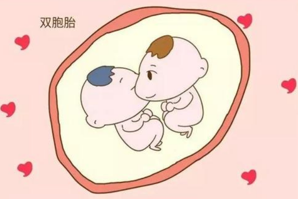大龄女性进行一代试管婴儿可以成功怀上双胞胎么？