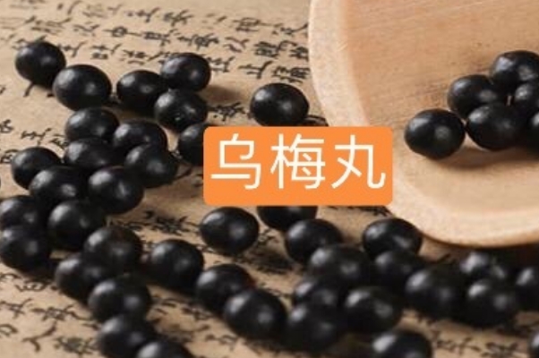 乌梅丸可以缓解疲劳