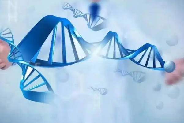 孕前基因检测需要多少钱，检查的种类不同价格也不一样