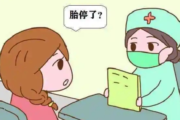 胎停后肚子没有明显的胎动