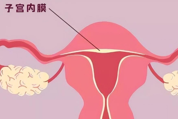 在准备移植前两天检查发现子宫内膜厚度从10.9掉到7.8怎么办？