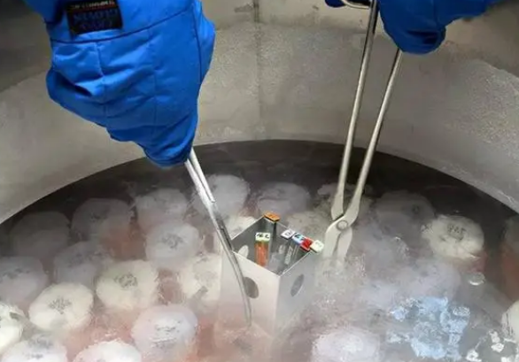 2024年在三甲医院冷冻精子多少钱一年？
