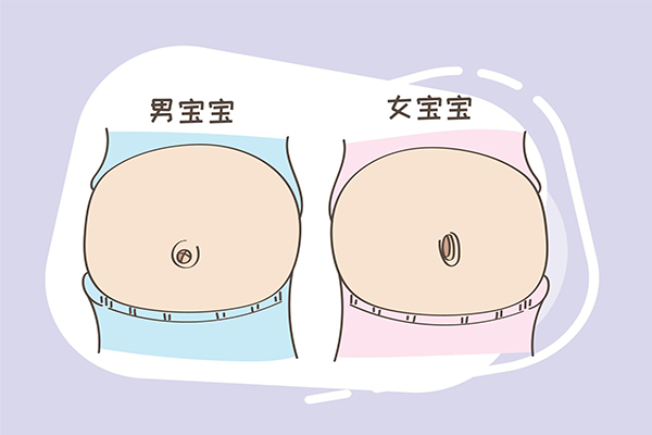 B超男胎儿与女胎区别介绍，看有无小鸡最简单明了