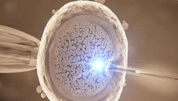 2025青海供卵试管医院介绍！公布青海试管婴儿的助孕流程