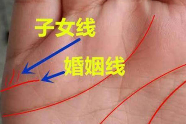 第二胎看手相即可知生男生女，右手握拳一秒辨性别