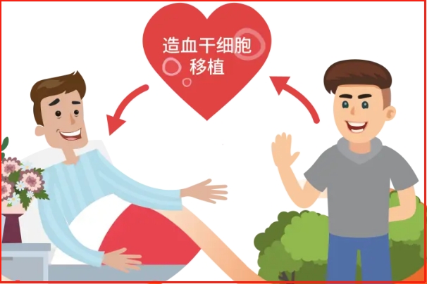 身患白血病等血液疾病做造血干细胞移植成功率高吗？