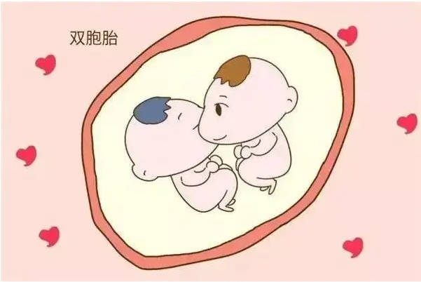 揭秘促排与双胞胎的误区：为何移植双囊胚却遭遇空囊现象