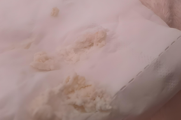 雪诺酮塞阴后药渣为粉红色