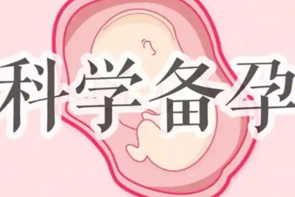 孕前检查可以提高怀孕的几率