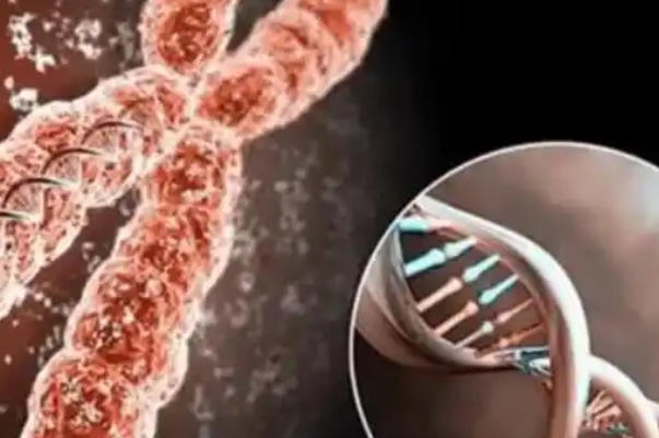 三代试管前基础体检很重要