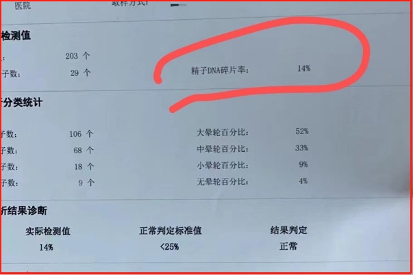 精子碎片率17.46%可以正常备孕