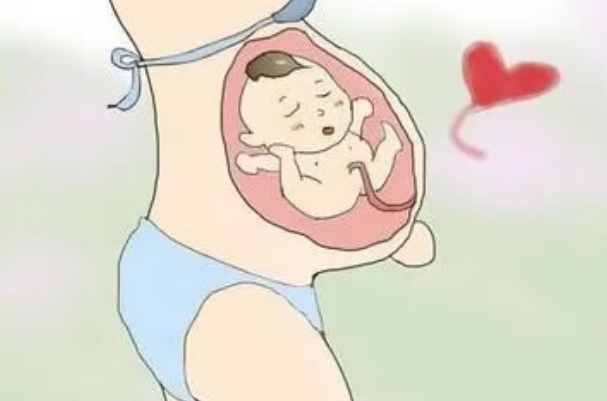 想生男宝如何备孕，饮食、同房时机等把握好才行