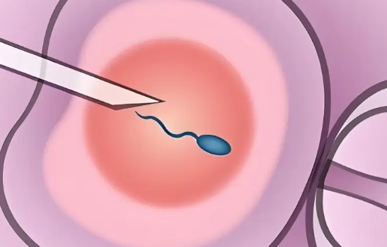 徐州妇幼保健院是三甲