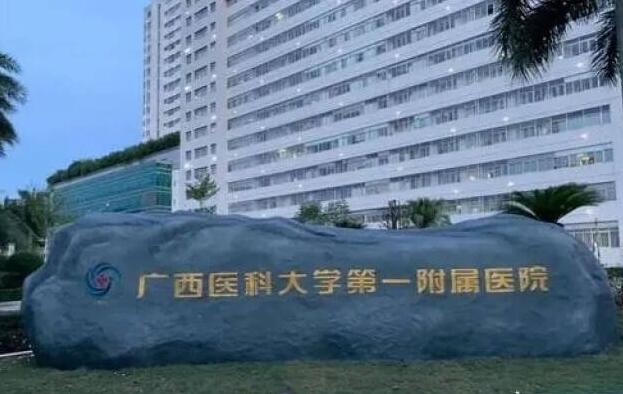 2024广西做试管口碑最好的医院排名前十包括第924医院吗？
