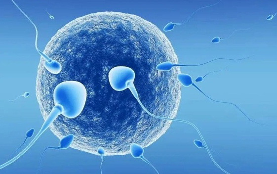 深圳妇幼做三代试管的条件分析！年龄和经济方面都有要求