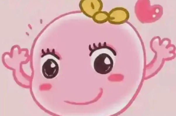 嵌合体胚胎可以移植