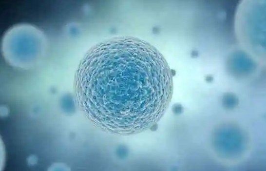 2025年在新乡做二代试管婴儿如何收费？试管助孕价格是多少？