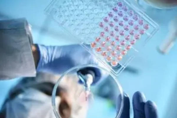 试管婴儿技术是新型的生殖技术