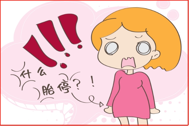 一文了解胚胎停止发育，原因、症状识别以及科学应对策略