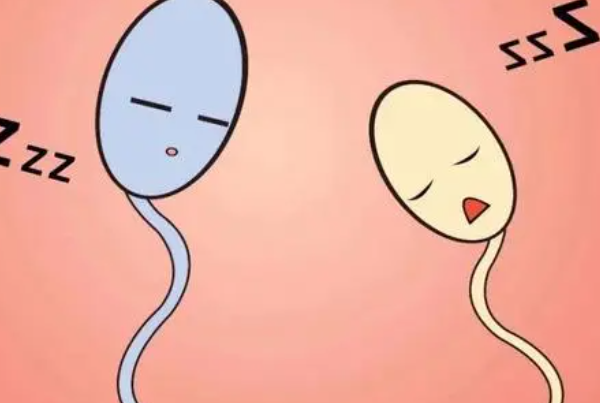 男性年龄大不易生儿子
