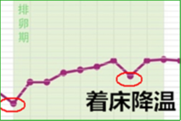 标准的受精卵着床降温体温变化图是什么样子？