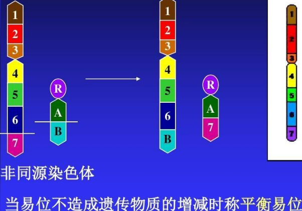 精子库的精子可以提高受孕率