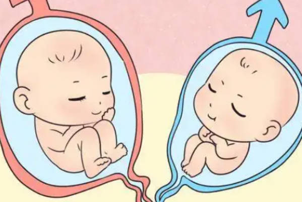 日本做试管婴儿可否合法选择性别、怎么选一次说明白