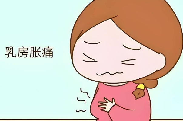 乳房胀痛是促排药物的副作用之一