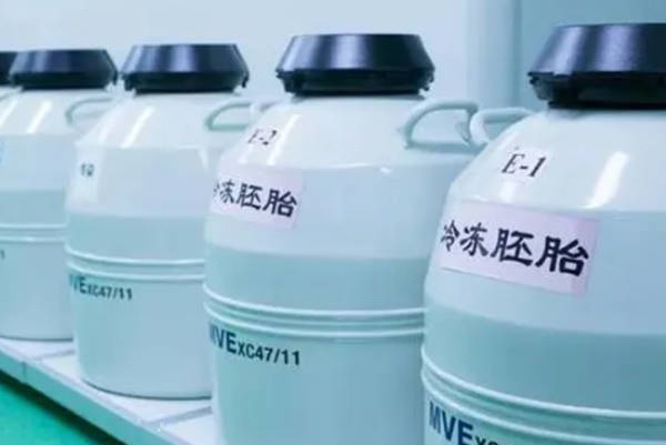 冻胚只是在体外培养三天后的胚胎
