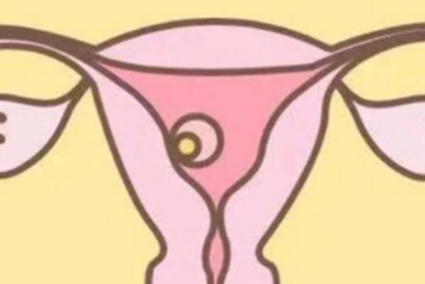 子宫内膜厚度会影响胚胎着床的成功率