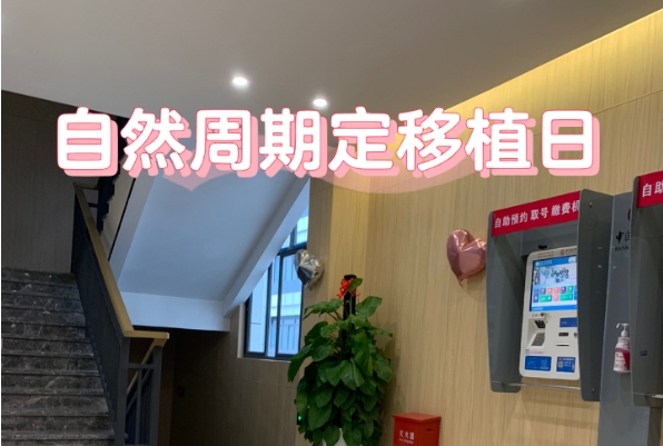 自然周期移植的前提条件，这九点你知道几个