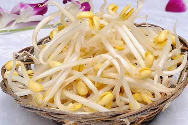 豆芽营养价值很高，而胚胎移植后吃了小心胎停育找上门