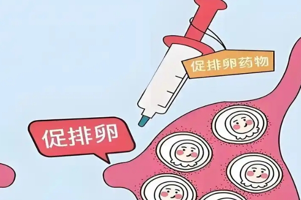 多囊会影响促排效果