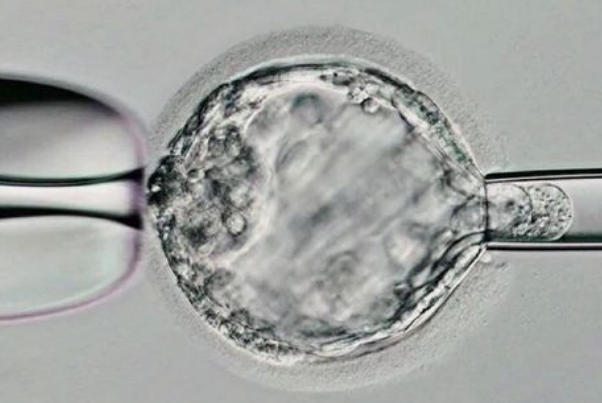 4BB囊胚移植第八天测到，科学解读与真实经历分享