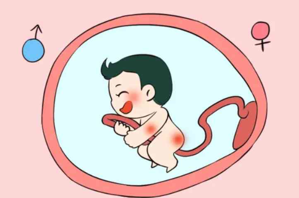 八个征兆预示生个男娃，胸部没有明显变大可能就是