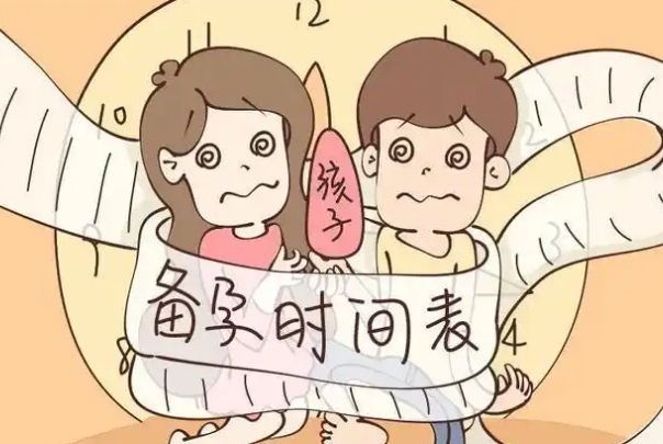 排卵日同房有利于提高受孕概率