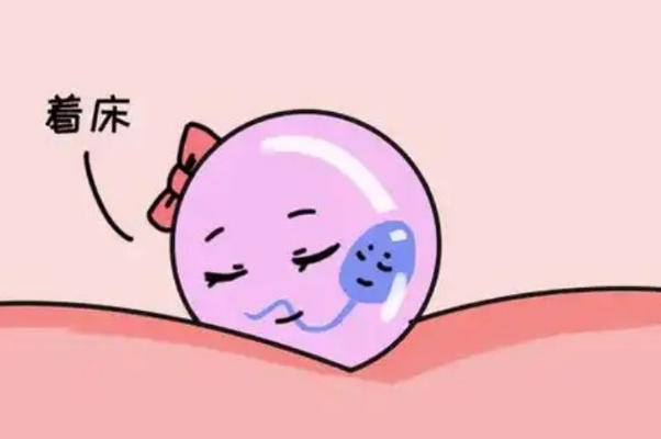 内膜厚度会影响试管的成功率