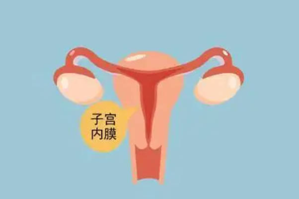 子宫内膜形态c型移植胚胎后是不是不容易着床？