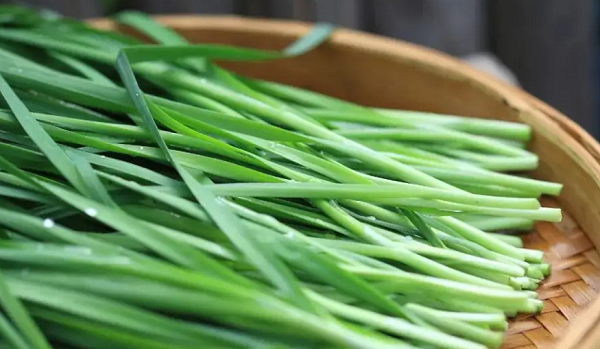 菠菜和韭菜一起吃会腹泻