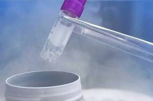 海外精子库价格揭秘：欧洲捐精者费用最高可达多少