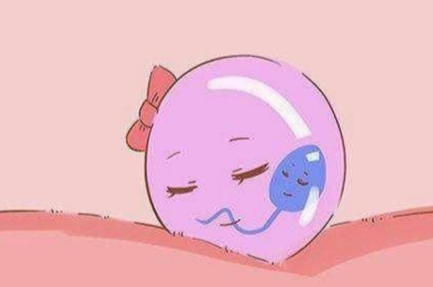 胚胎移植手术后可以弯腰捡东西吗？康复期动作禁忌全解析