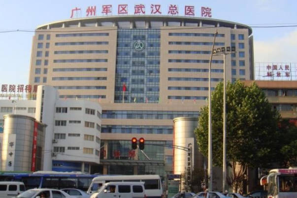 广州军区武汉总医院试管成功率高