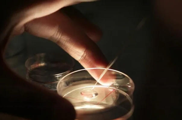 试管婴儿移植姿势真的那么重要吗？一文看看医生怎么说