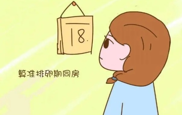 在排卵的24小时内安排同房