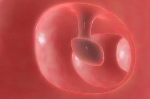 胚胎发育的马拉松，一文了解养囊胚到底需要几天