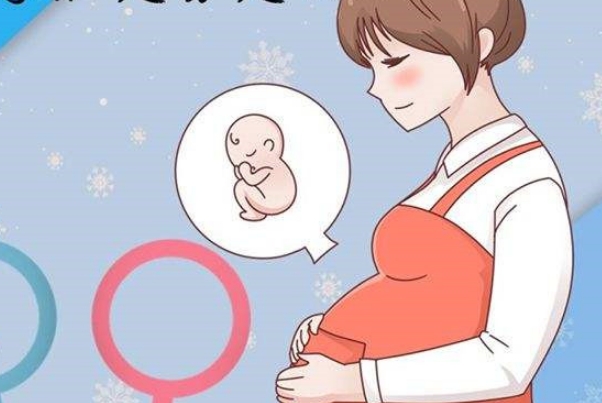 y精子与卵子结合会生下儿子