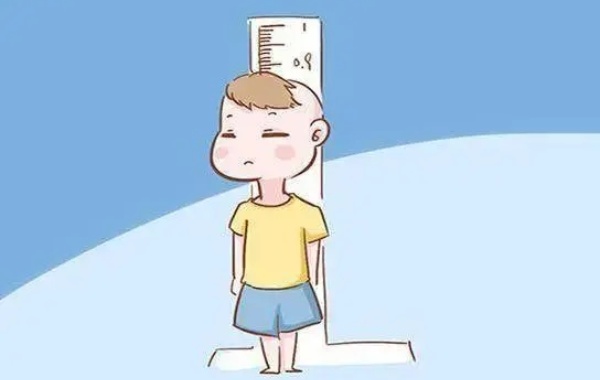 人体长高是骨细胞分裂增生形成的结果